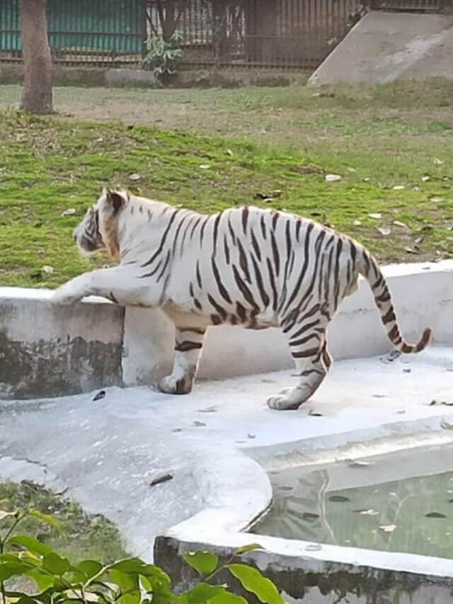 National Zoological Park, Delhi – A guide